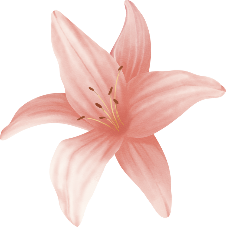 Pink Lilly Flower Watercolor Hand Paint